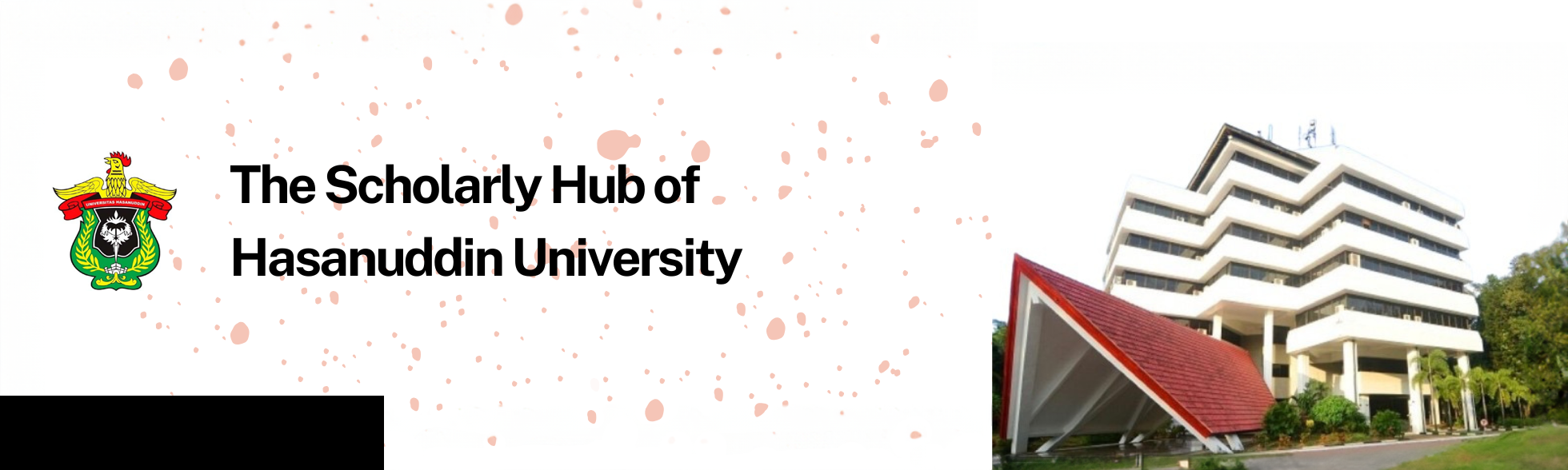 Universitas Hasanuddin